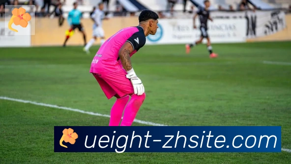 U8国际服务体系