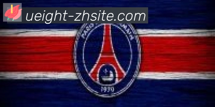 U8国际合作伙伴