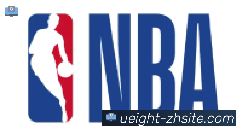 U8国际合作伙伴