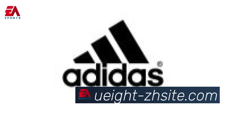 U8国际合作伙伴