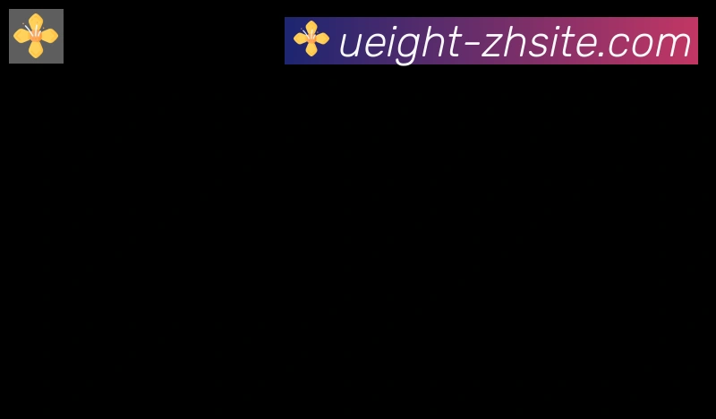 U8国际合作伙伴