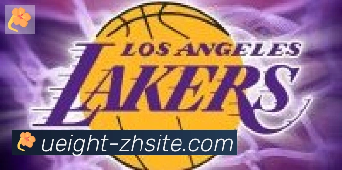 U8国际合作伙伴